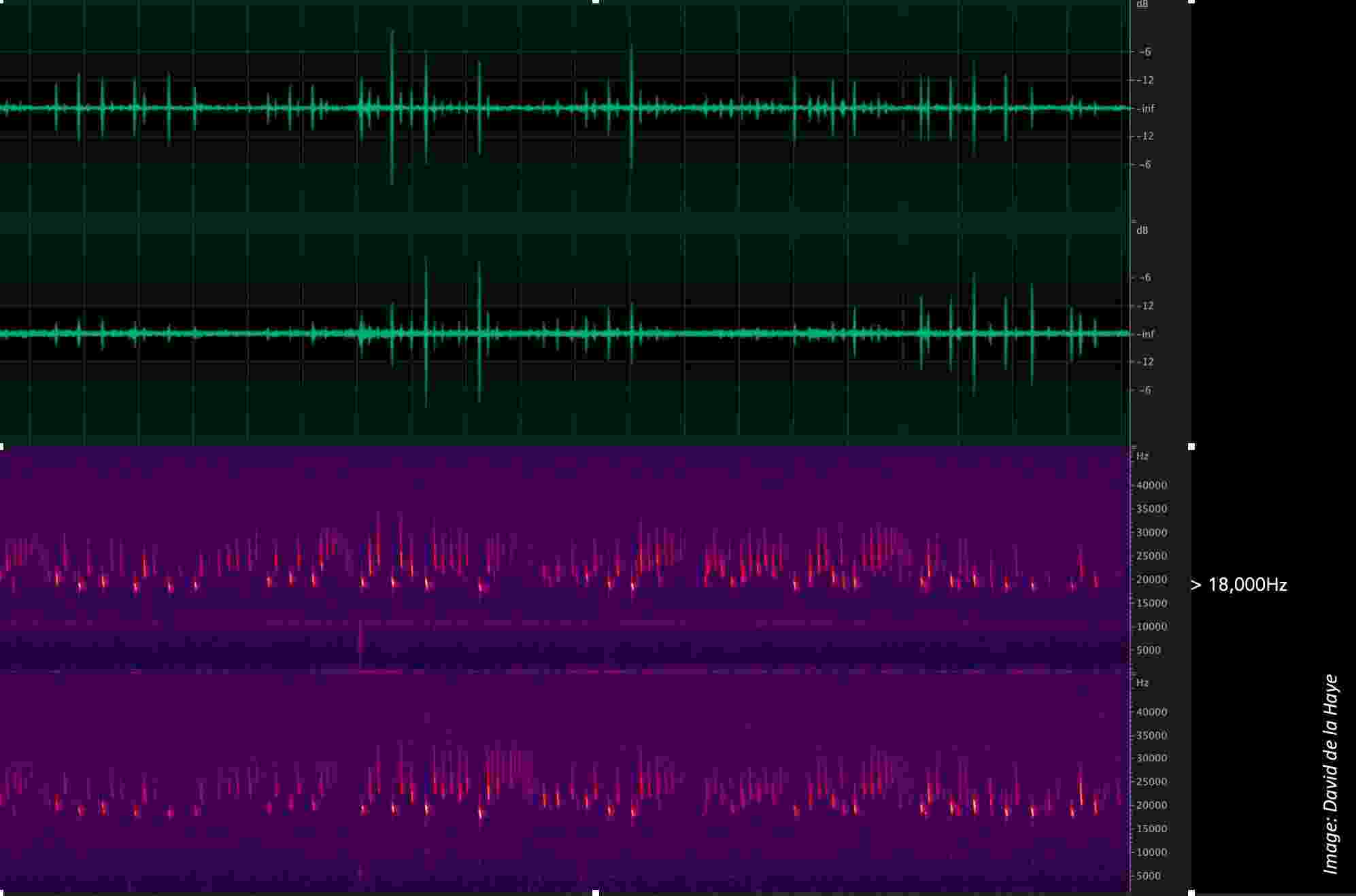 A screenshot of a spectrogram image, showing sound waves as they appear in computer audio editing software